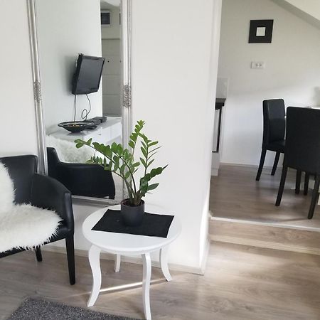Stan Na Dan Angel Apartment Novi Sad Phòng bức ảnh