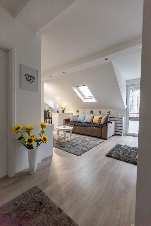 Stan Na Dan Angel Apartment Novi Sad Ngoại thất bức ảnh