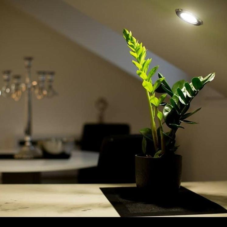 Stan Na Dan Angel Apartment Novi Sad Ngoại thất bức ảnh