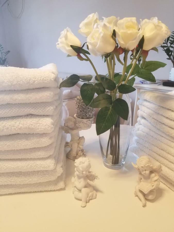 Stan Na Dan Angel Apartment Novi Sad Ngoại thất bức ảnh